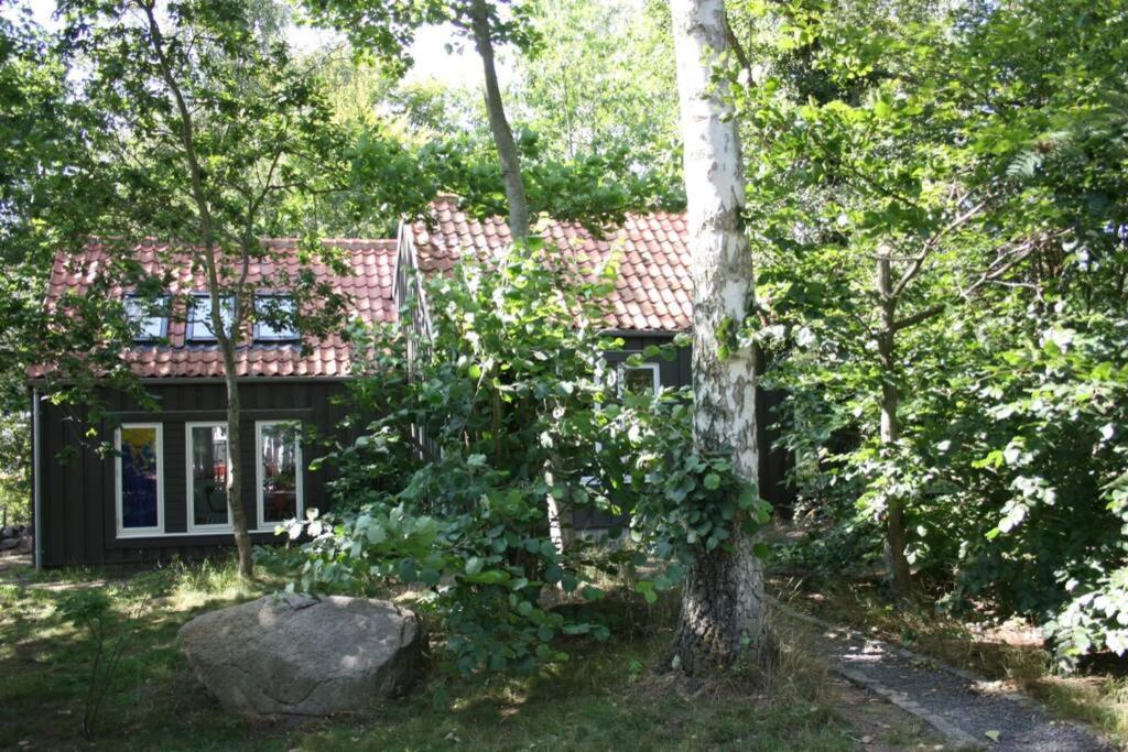 Oak Cottage Near Ronne & Beach Exteriér fotografie